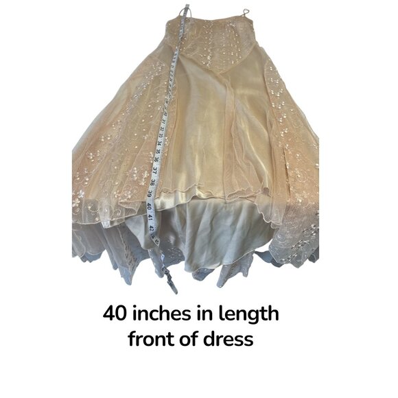 Polka USA Vintage Mesh Lace Midi Dress Nude Cream Floral Embroidered Slip Dress - Picture 12 of 12